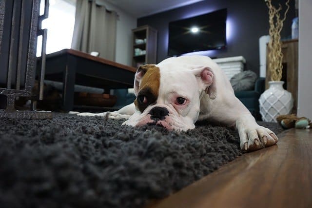 How To Make Your Home More Energy Efficient