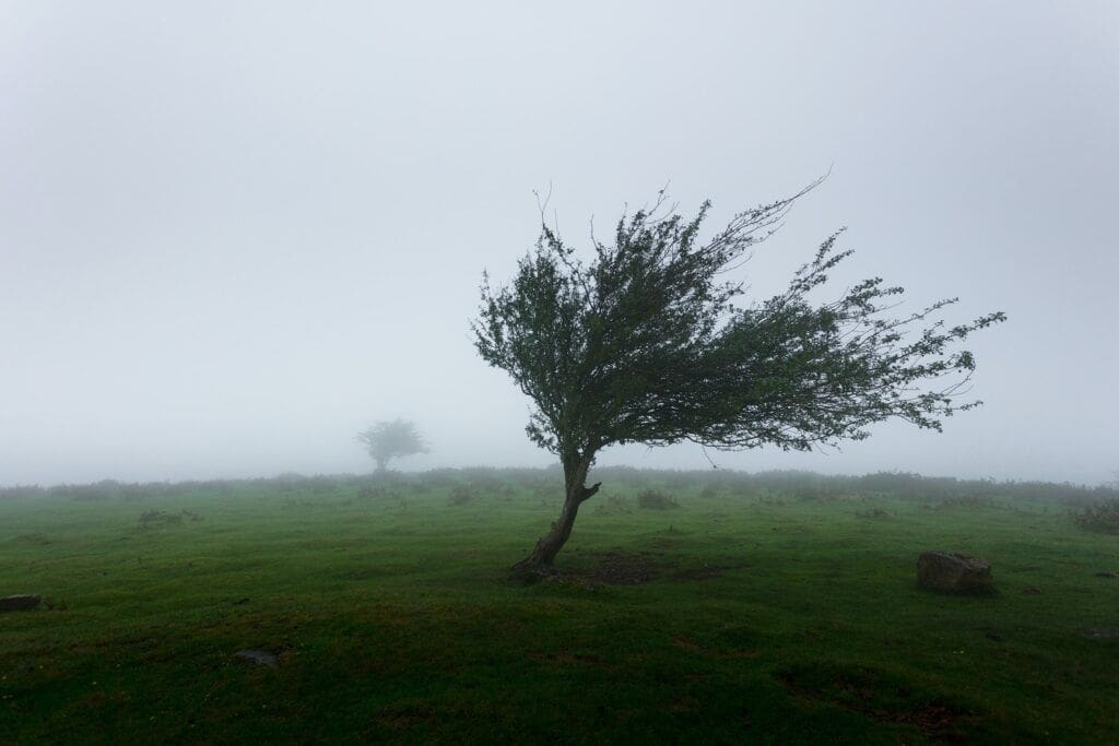 Driving safely in strong winds - AA Ireland