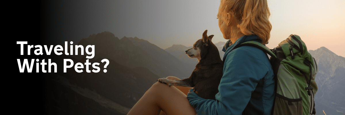 Traveling with Pets: A Complete Guide to Stress-Free Journeys and Insurance Coverage